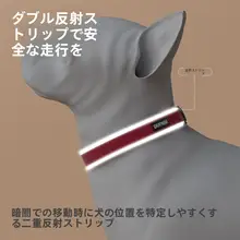 反射素材の犬用首輪【ナイロン製・中小型犬用・リード付き】