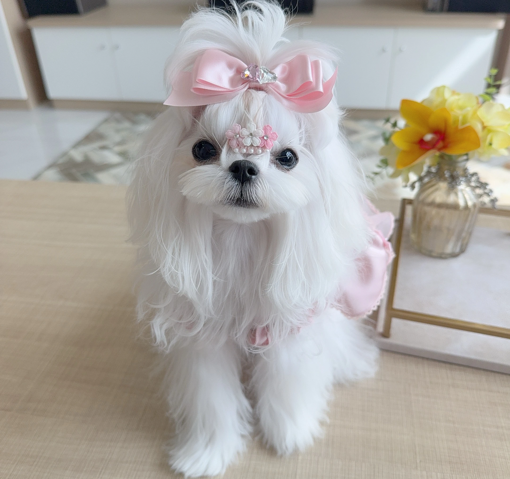 犬の毛アクセサリーとしてのヘアクリップ クリームピンク フリンジデザイン カエル形