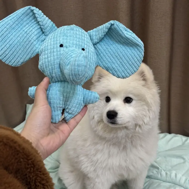 犬用おもちゃ【毛羽立ちあり・発音機能付き・ぬいぐるみ・青い象・耐噛み】
