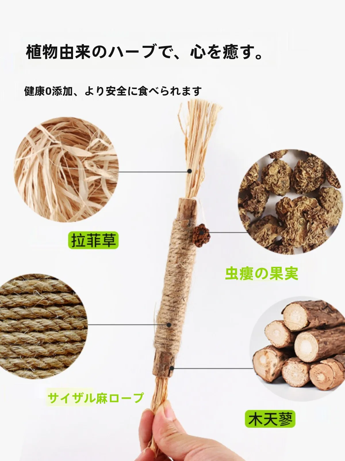 ダニの噛み跡に悩むなら、猫の磨き歯おもちゃでどうする？