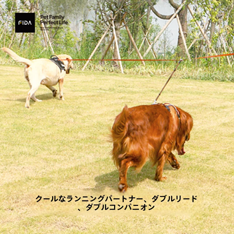 犬のお散歩グッズをコスパ良く揃える方法｜2頭引き対応リードの実測ガイド