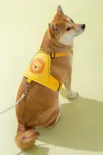 大型犬用 胸部ハーネス付きリード【金毛・ラブラドール専用・衝撃防止設計】