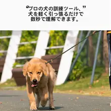 中大型犬用強化リード【逃げ防止・小型犬対応・トレーニング用】