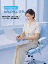 夏用冷却クッション【オフィス・学生・車・ソファ用・水不要】