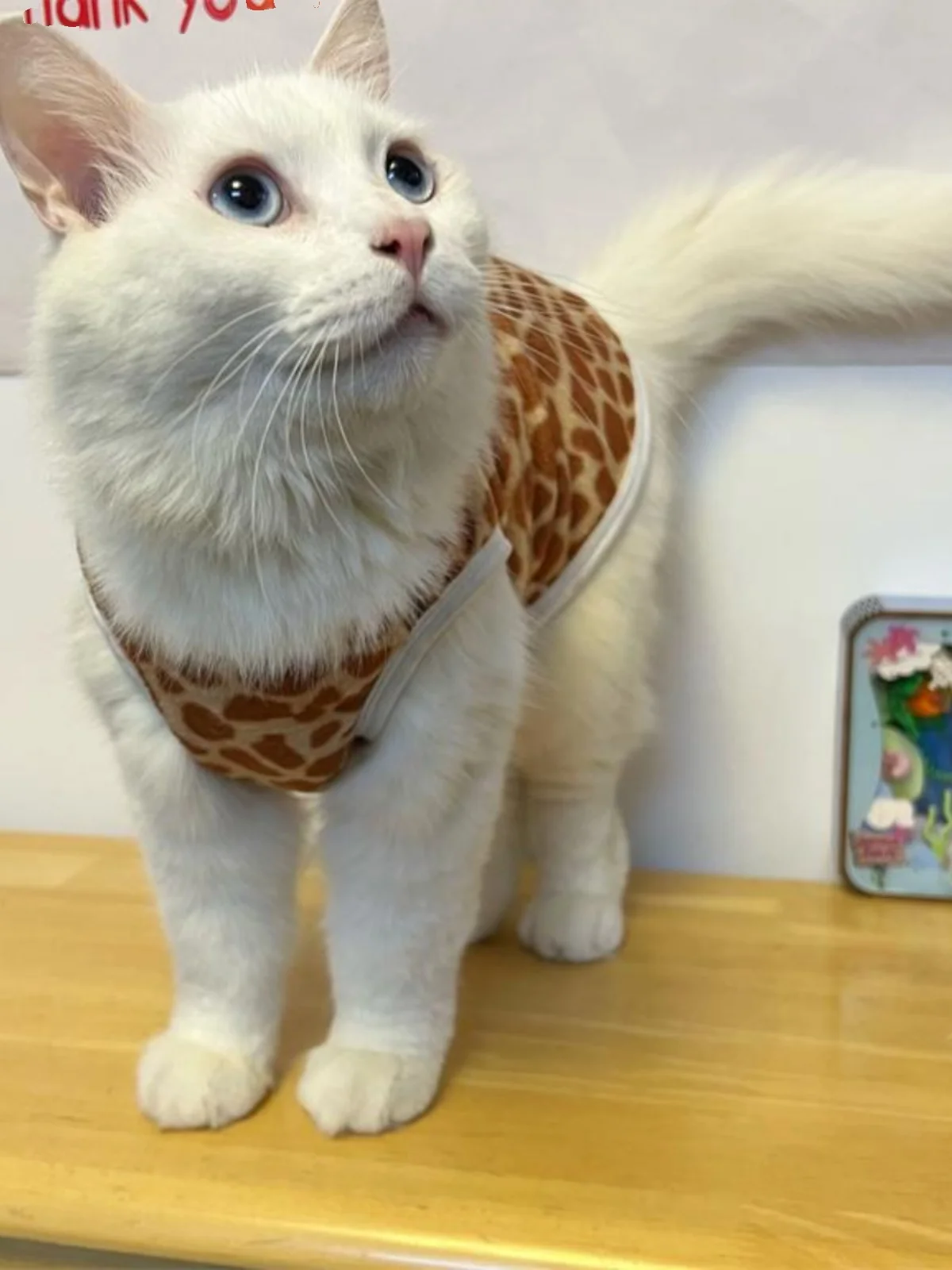 猫が冬に着るベストは、鹿柄のフリースが一番？