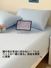 極上の柔らかさのアイスシルクベッドカバー【自然素材・洗濯機対応】（セットアップ対応）
