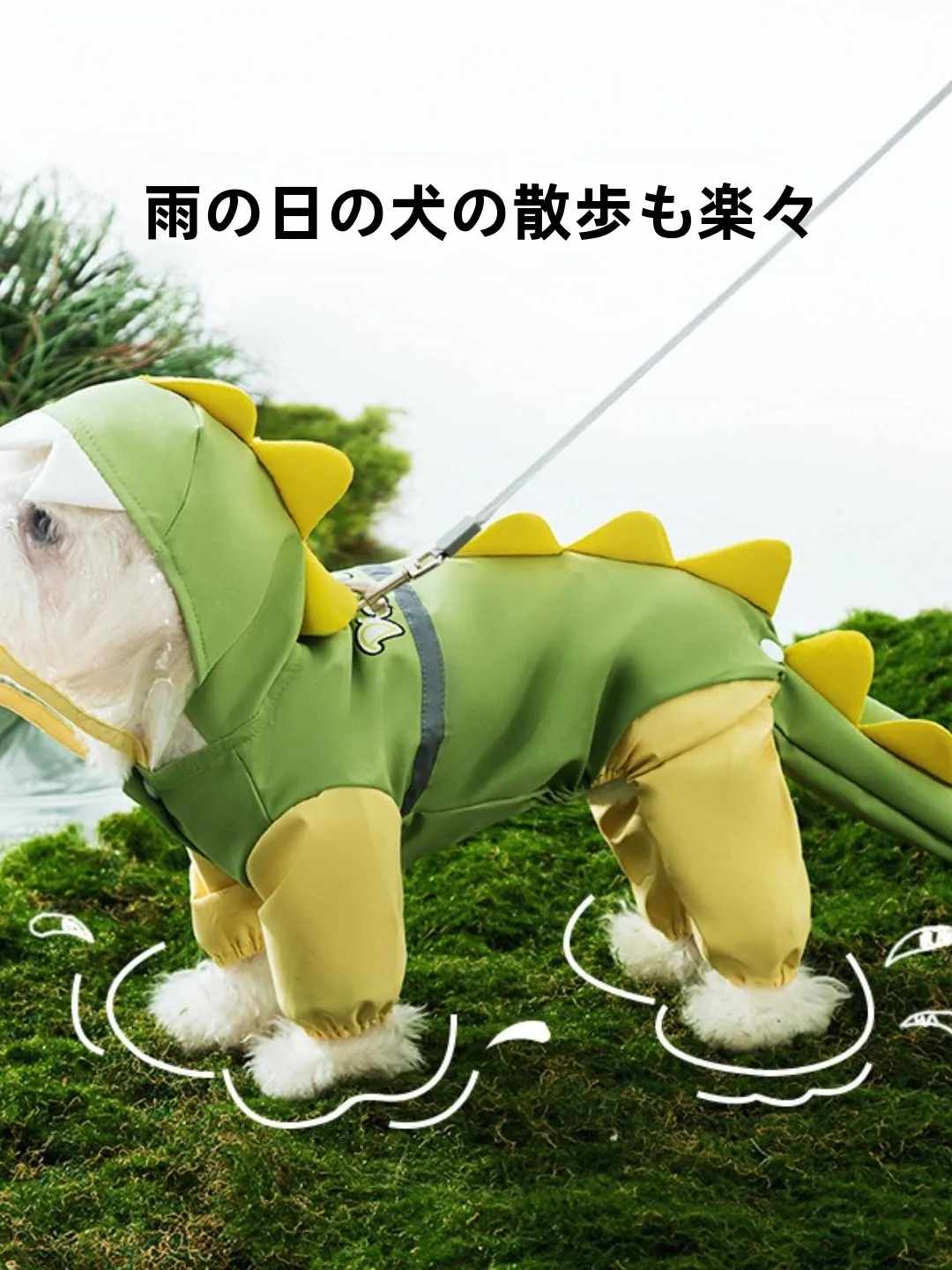 雨の日に犬を散歩させるとき、どんな雨具が安心なのか？