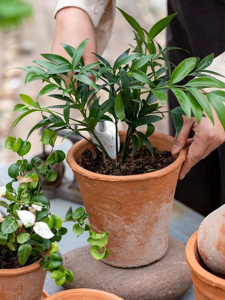 ベランダに置く植木鉢を選ぶときに迷うなら、この1つのポイントで解決できる？