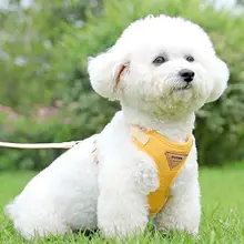 小型犬用 ペット用ハーネスリード【テディベア・ボストン・ヨークシャーテリア対応・アウトドア用】