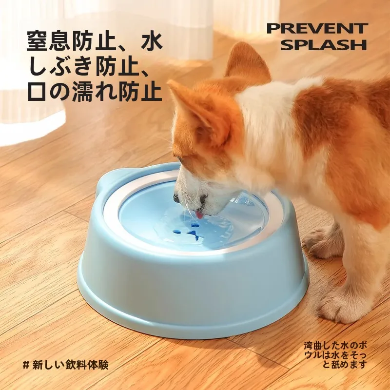 散水しない犬用フローティングボウル：水浸入防止と首保護の実用性を検証