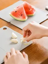 折りたたみ式プラスチック抗菌まな板【携帯用・ミニ・防カビ・長方形】