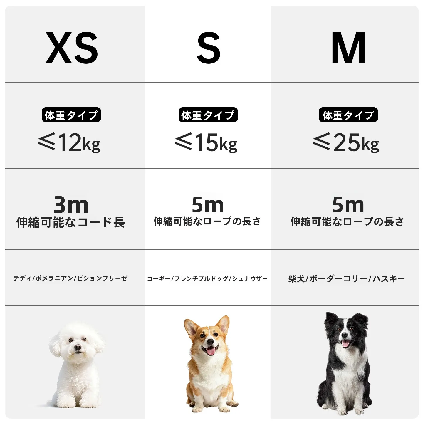 犬のお散歩グッズをコスパ良く揃える方法 - 自動伸縮式リードの機能とサイズ対応