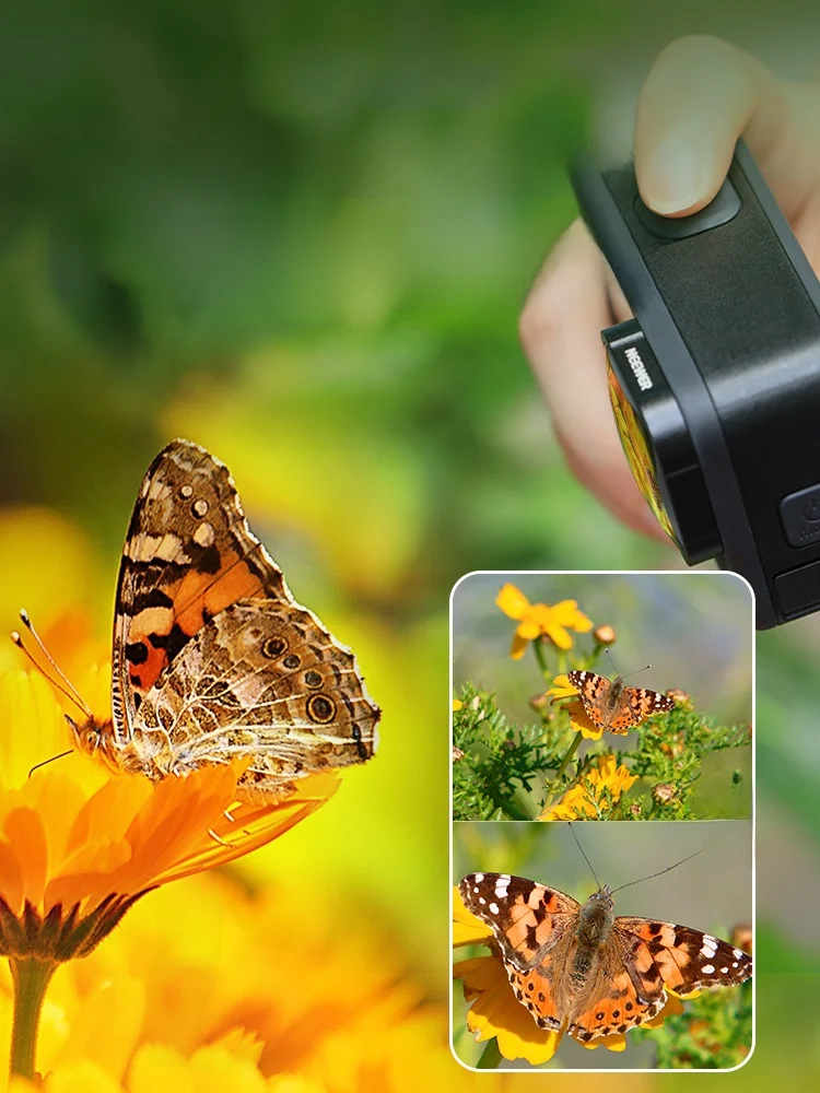 「aマウントレンズ」と「lマウントレンズ」の違いは？GoProで使えるマクロレンズの選び方を徹底解説