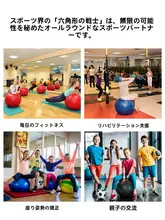 ドイツ製のプロフェッショナル柔らかいヨガボール【スイスボール・フィットネス用・ピラティス対応】