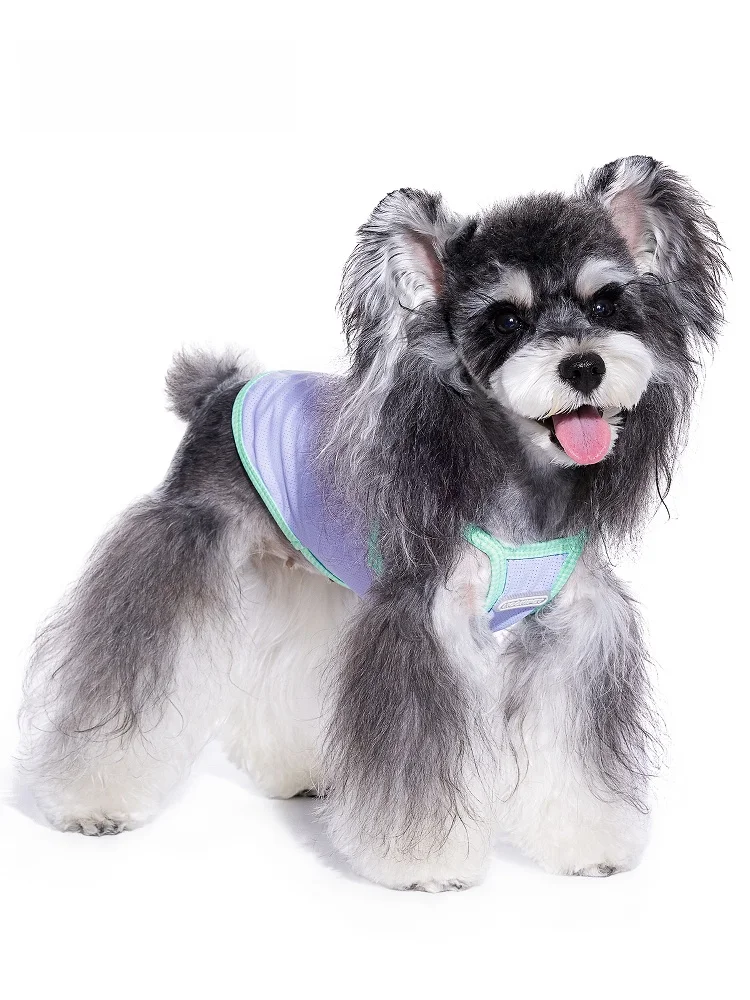 犬のお散歩グッズをコスパ良く揃える方法｜失敗しない選び方の完全ガイド