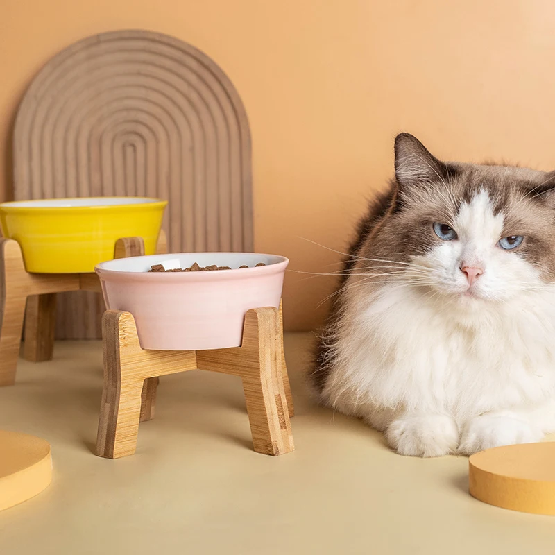 猫飼いが買ってよかったもの・悪かったもの正直に言う｜水飲み器の選び方と実測ガイド