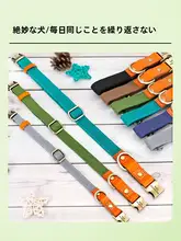 ペット用タム犬用首輪【中型・大型犬用・防紛失・リード付き】