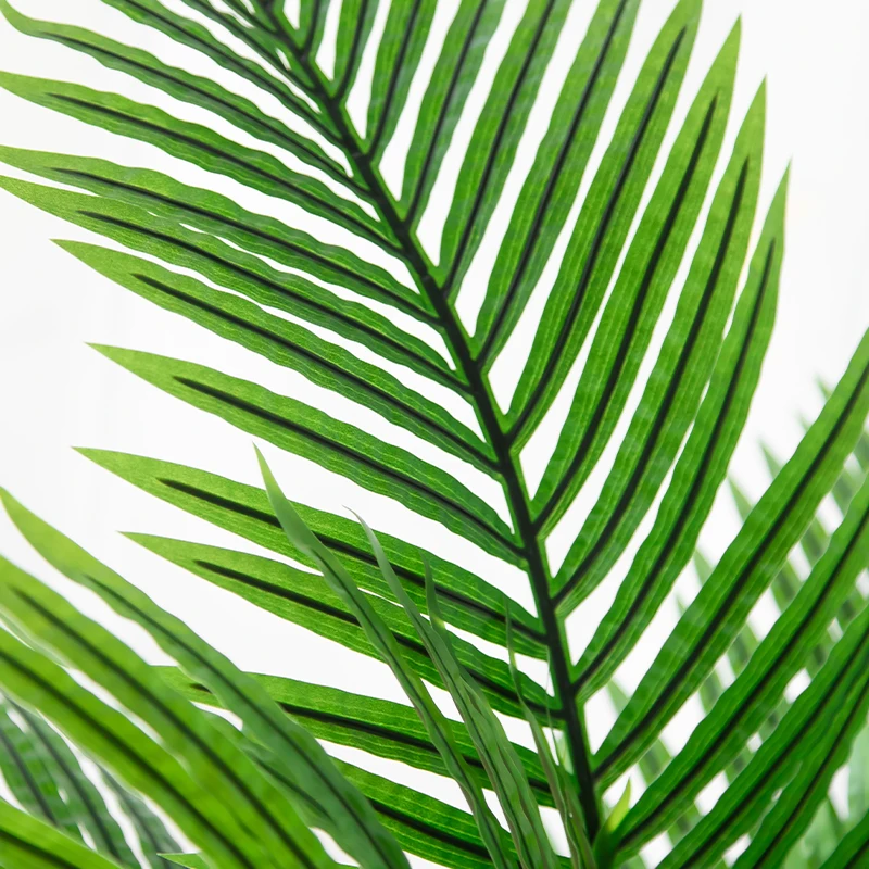 フル活用した節約生活で見落としやすい植物の力・完全ガイド