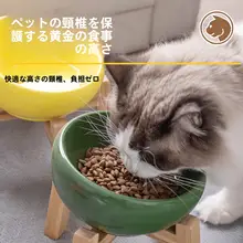 陶器製 猫と犬用食器【傾斜口・高脚デザイン・首を守る】