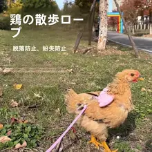 ペット用通気性ハーネス【チキンリード・トレーニング用】