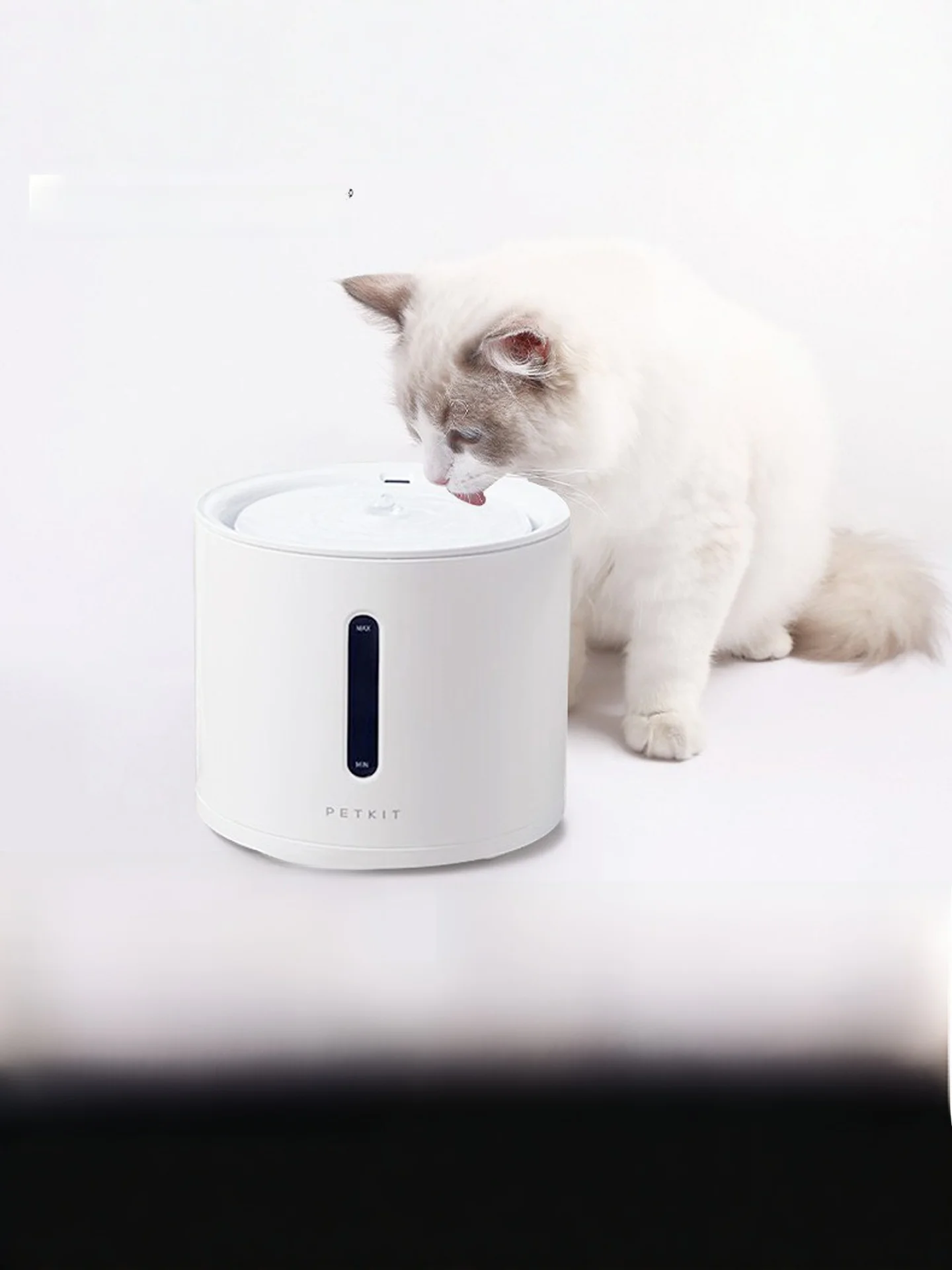 petkit 無線自動給水器は猫の水分補給を安定的にサポート