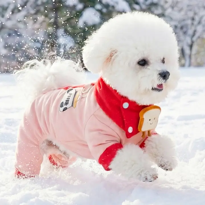 冬用小型犬用コート【保温性・撥水加工・リード対応】

