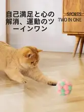 猫用ボールおもちゃ【暇つぶし・歯磨きボール・子猫用】
