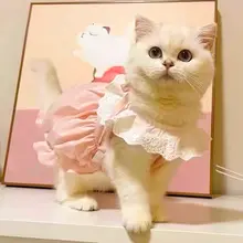猫用チュニック風パンプキンスカート【春秋用・薄手・抜け毛防止・ペットウェア・青白】