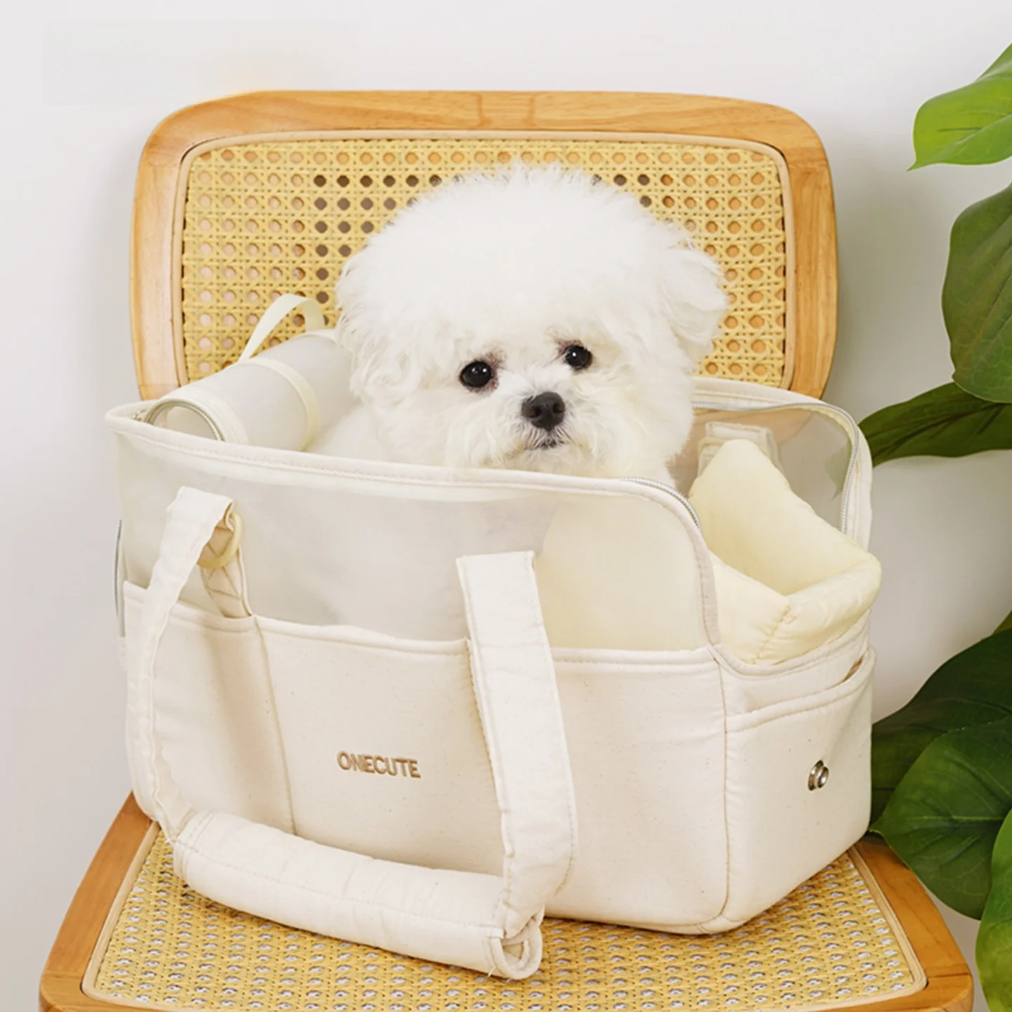 犬のお散歩グッズをコスパ良く揃える方法｜サイズ選びの3ステップで失敗を防ぐ