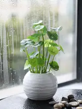 フェイクグリーン 装飾品 リビング ダイニングデスク オフィスデスク 小さな鉢植え インテリア