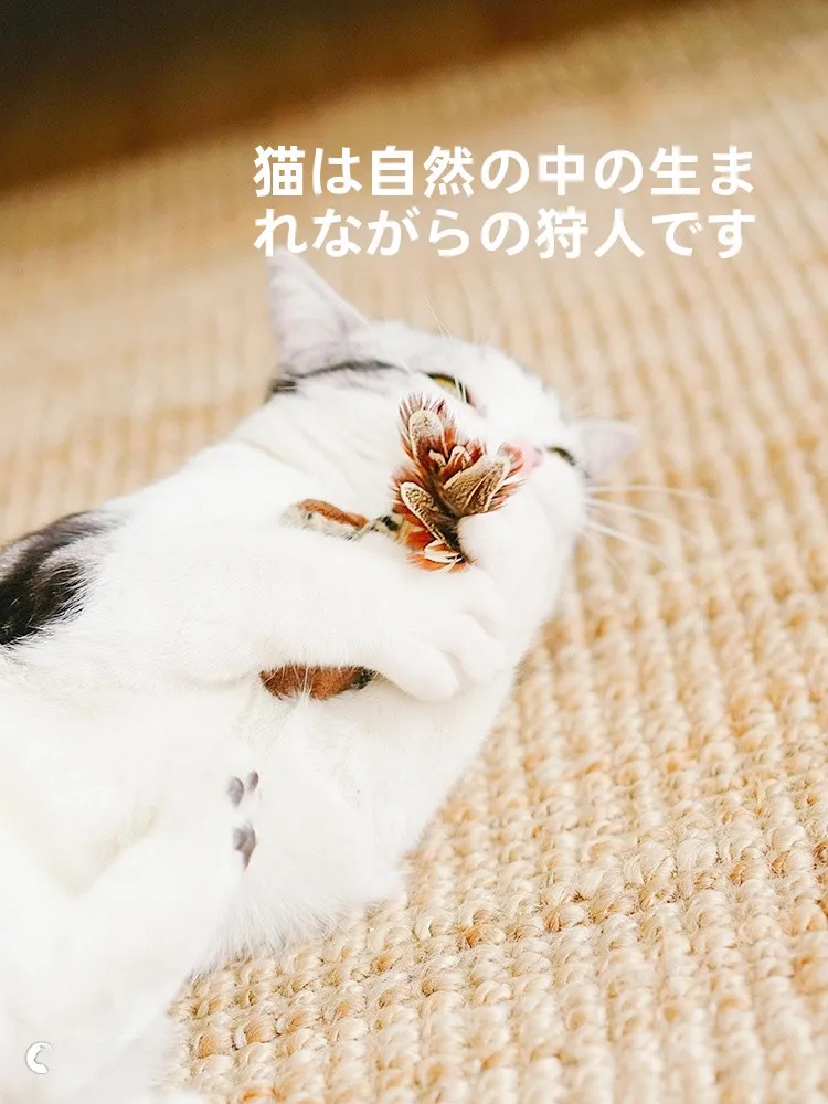 GiGwi 模型電子玩具：鳴き声付き小鳥・ねずみ・ハチ型の猫用狩猟遊びに最適な選択
