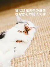 GiGwi 模型電子玩具【鳴き声付き小鳥・ねずみ・ハチ型・狩猟用】