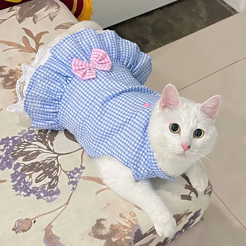 猫飼いが買ってよかったもの・悪かったもの正直に言う | ペット用猫用ドレスの通気性とサイズ選び