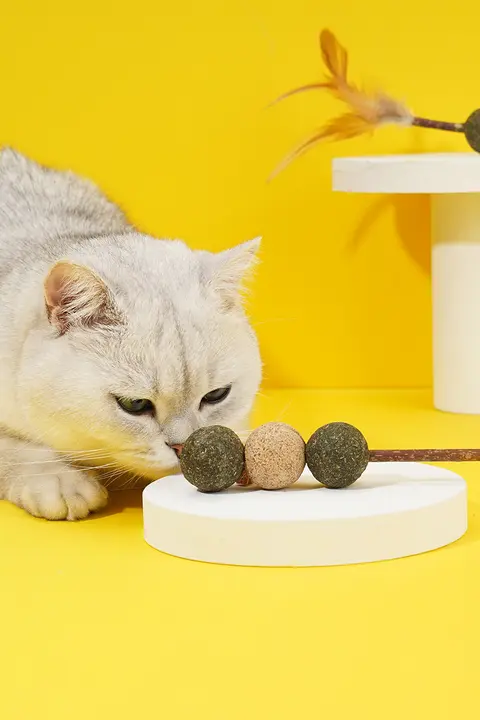 ZEZE 猫用ミントボールと歯磨きおもちゃ【耐噛性・猫の遊び道具】