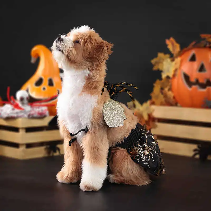 ペット用ハロウィンコスチュームセット：スカート付きクモの羽デザインの実用性と適用範囲