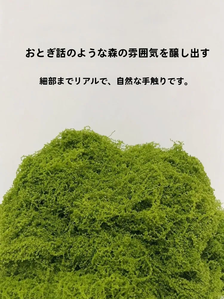 あつ森 つる どうじゅう どう選ぶ？リアルな苔風装飾草皮が解決する自然の暮らしの悩み
