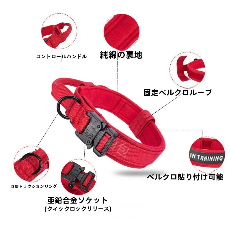 犬のお散歩グッズをコスパ良く揃える方法 - 出張用タクティカルドッグカラーの機能と特性