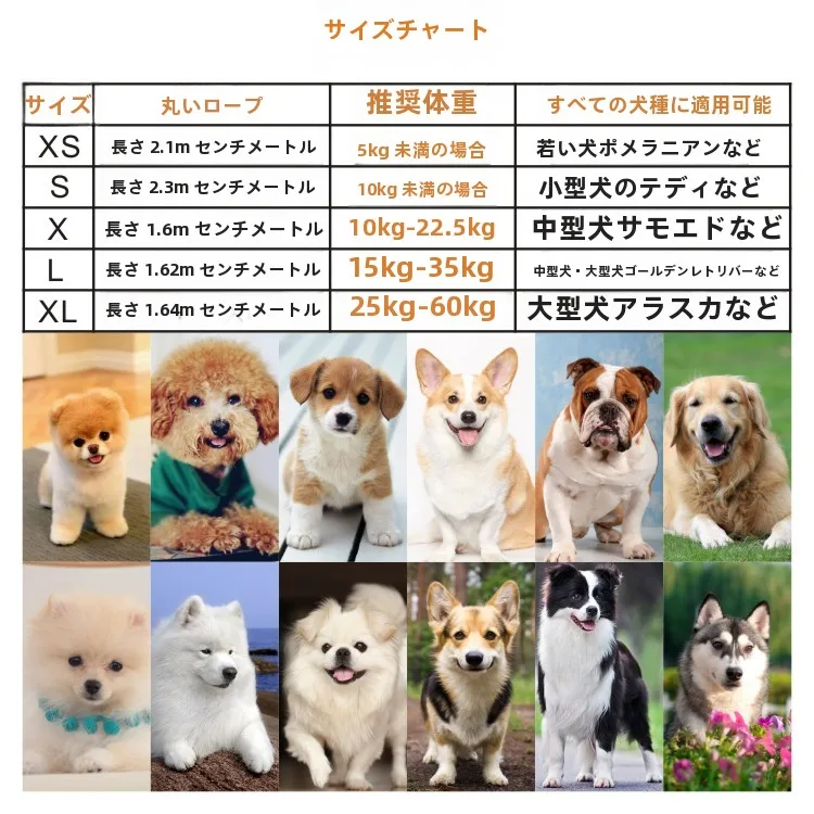犬のお散歩グッズをコスパ良く揃える方法 - 反射素材のナイロン製リードのサイ  ズ対応