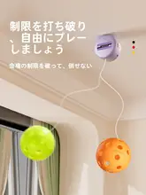 屋内用ピックルボールリバウンドトレーニング器具【電動リモコン・夜光機能・2人用】