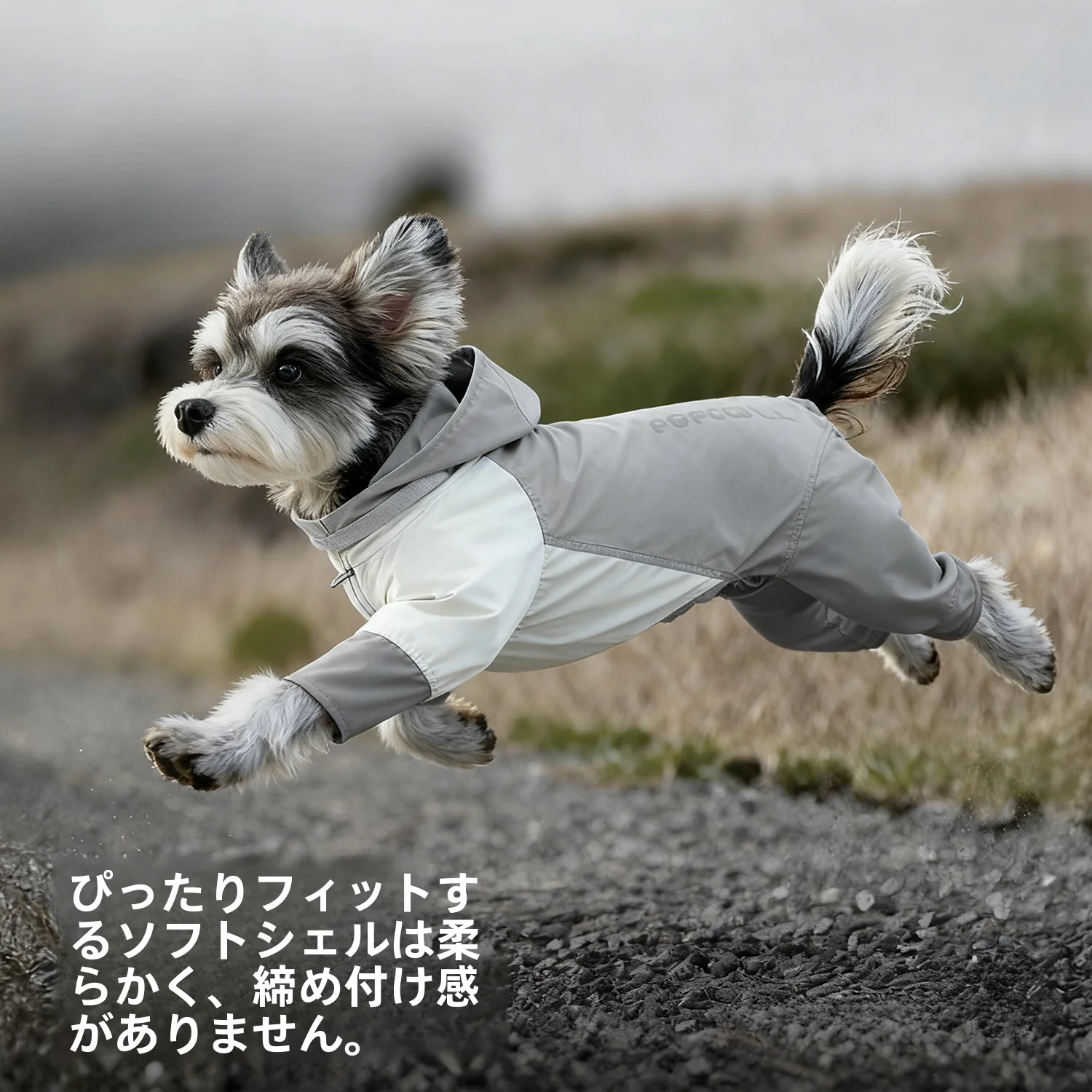 犬のお散歩グッズをコスパ良く揃える方法 - 防塵・防汚ウィンドブレーカーの定義と特性