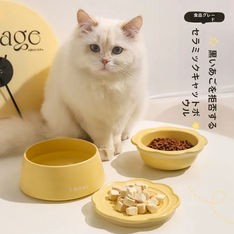 猫飼いが買ってよかったもの・悪かったもの正直に言う｜食器選びの徹底解説