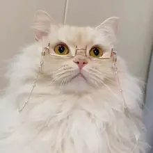 可愛い猫犬用メガネ【パールチェーン・半フレーム・フォトジェニックデザイン】