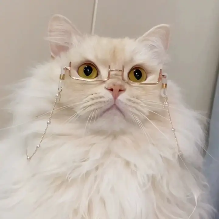 可愛い猫犬用メガネ【パールチェーン・半フレーム・フォトジェニックデザイン】