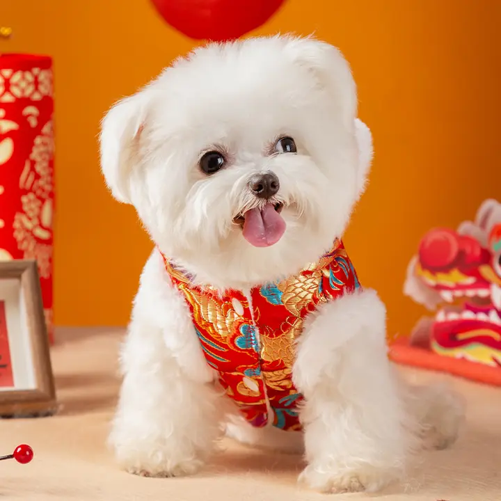 ペット用犬服【虎頭デザイン・秋冬用・唐装スタイル】（セットアップ対応）