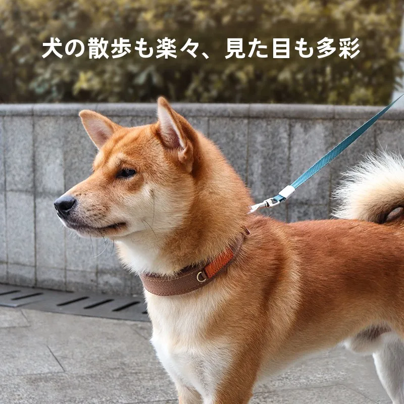 犬のお散歩グッズをコスパ良く揃える方法　完全ガイド