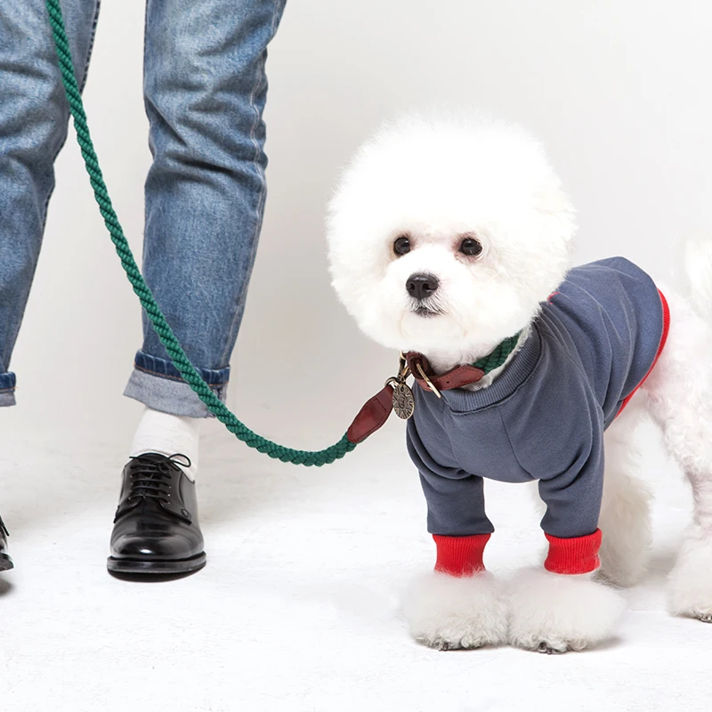 犬のお散歩グッズをコスパ良く揃える方法｜中型犬向け自宅用リードの実測ガイド
