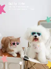 個性的なペット用サングラス【犬猫用・ハートデザイン・フォトプロップス】