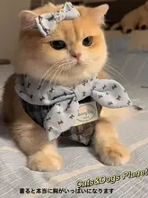 ペット用 フード付きビブ【猫犬用・装飾的な蝶ネクタイ・金色グラデーション】