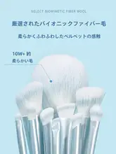 化粧ブラシセット【動物毛・チーク・アイシャドウ・コンシーラー・シェーディング】（セットアップ対応）