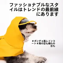 犬用レインコート【防水・汚れ防止・小型犬用・ケープデザイン】